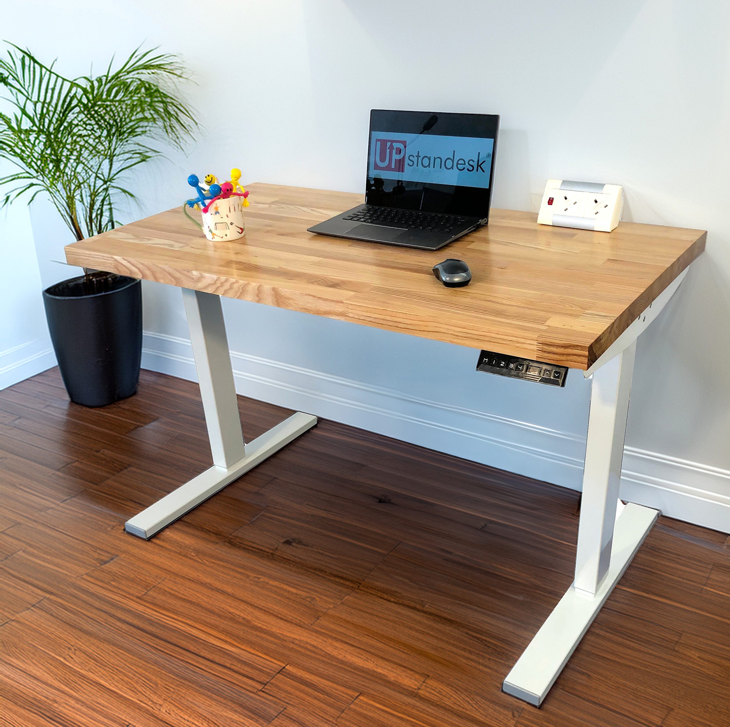 Elegant Ash Wood Top Electric Standing Desk - Image 3