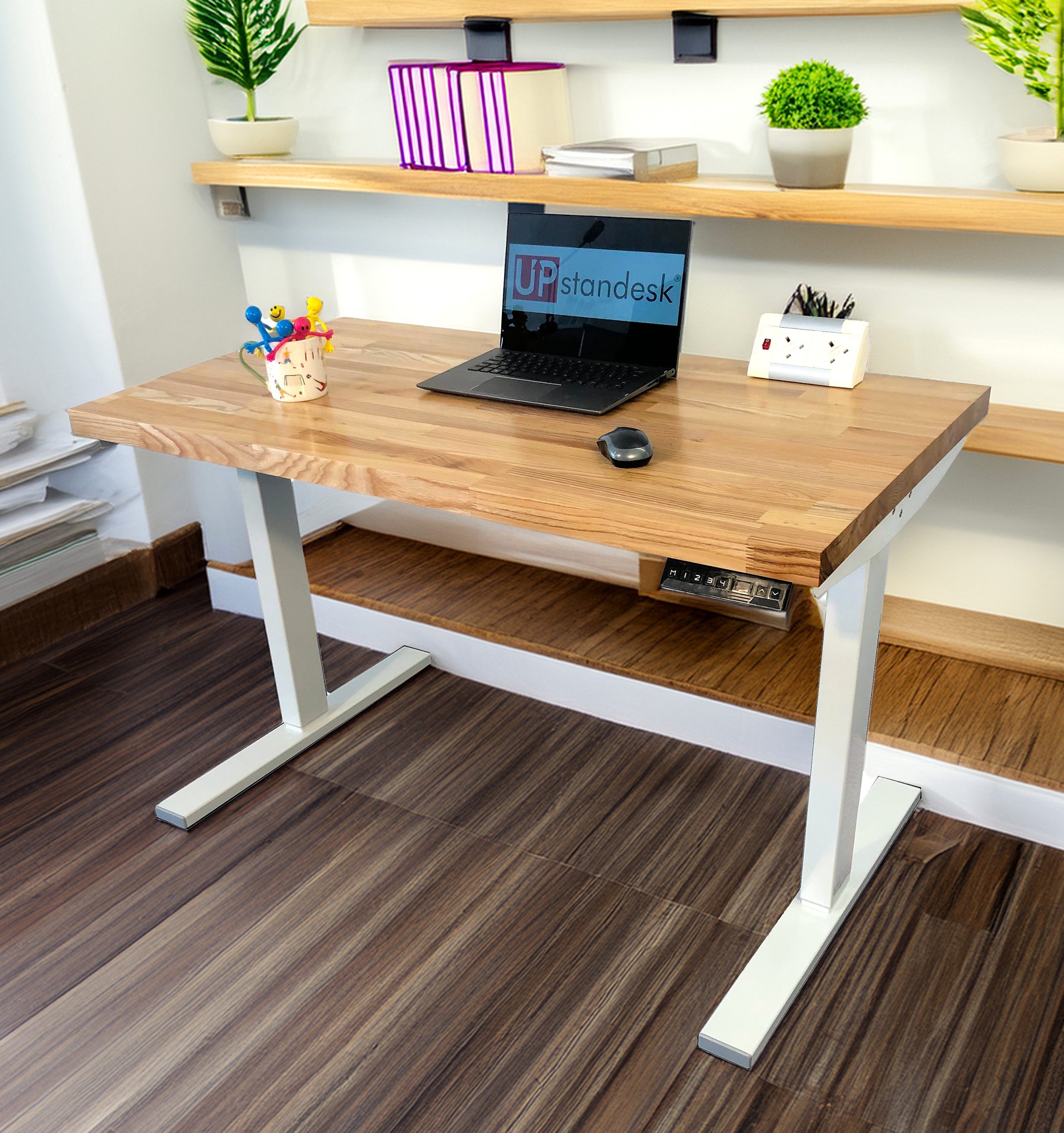 Elegant Ash Wood Top Electric Standing Desk - Image 6