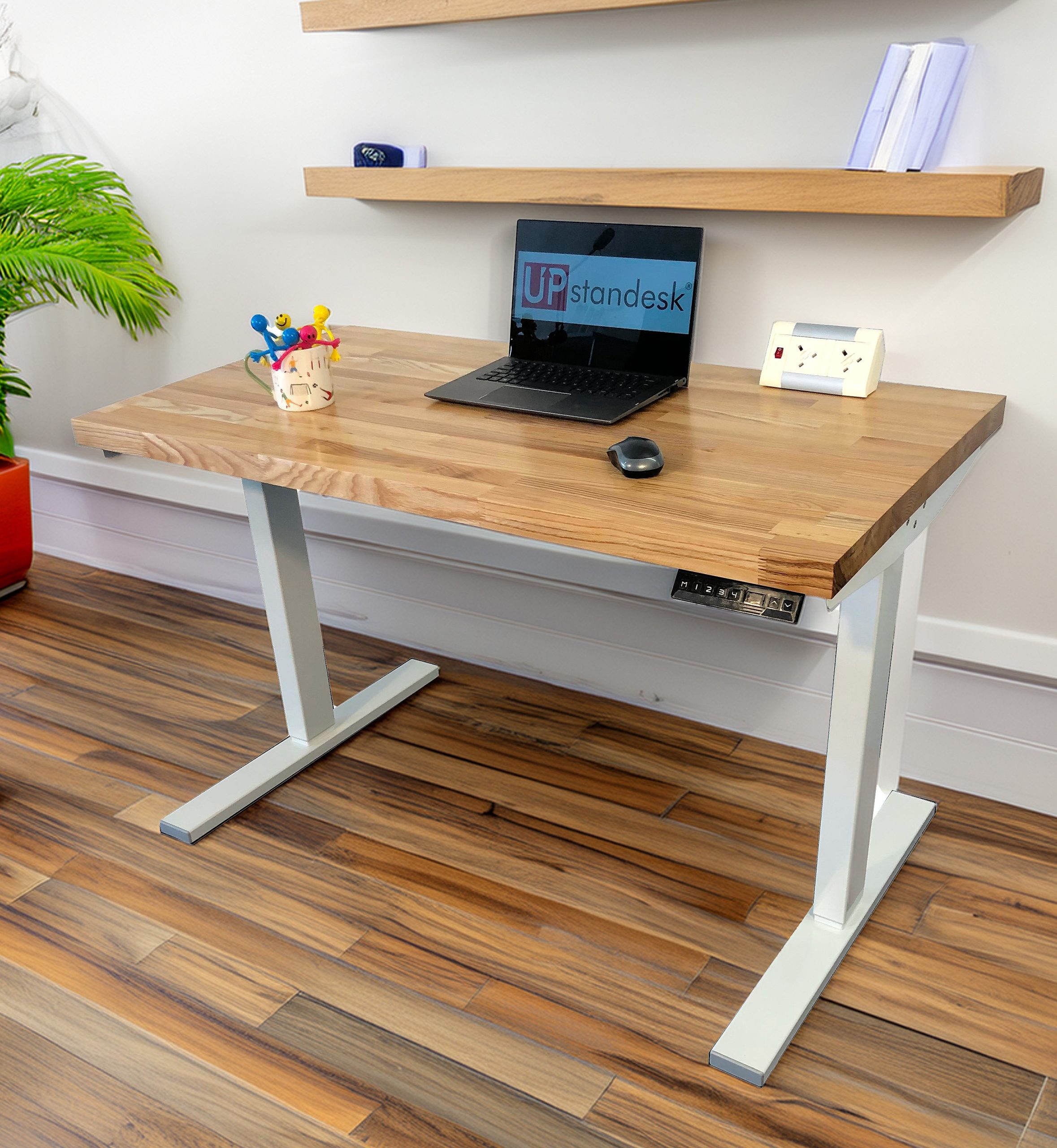 Elegant Ash Wood Top Electric Standing Desk - Image 2