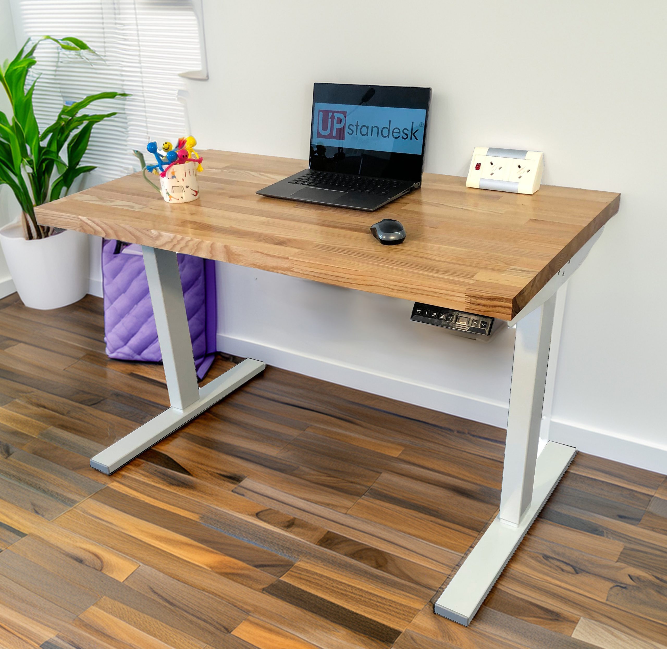 Elegant Ash Wood Top Electric Standing Desk - Image 4