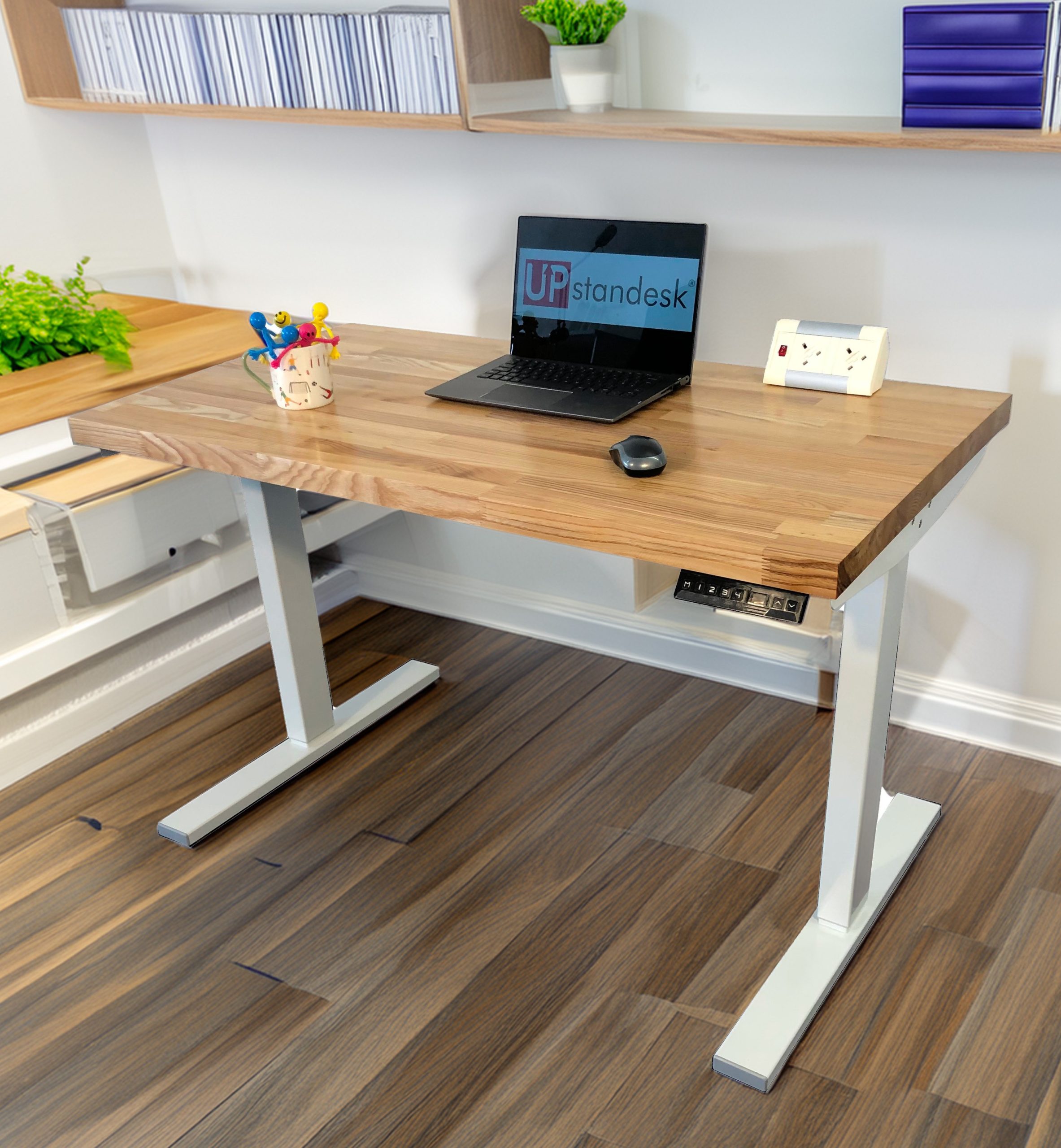Elegant Ash Wood Top Electric Standing Desk - Image 5