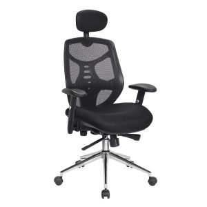 Polaris Ergonomic Executive Mesh Chair (Black)