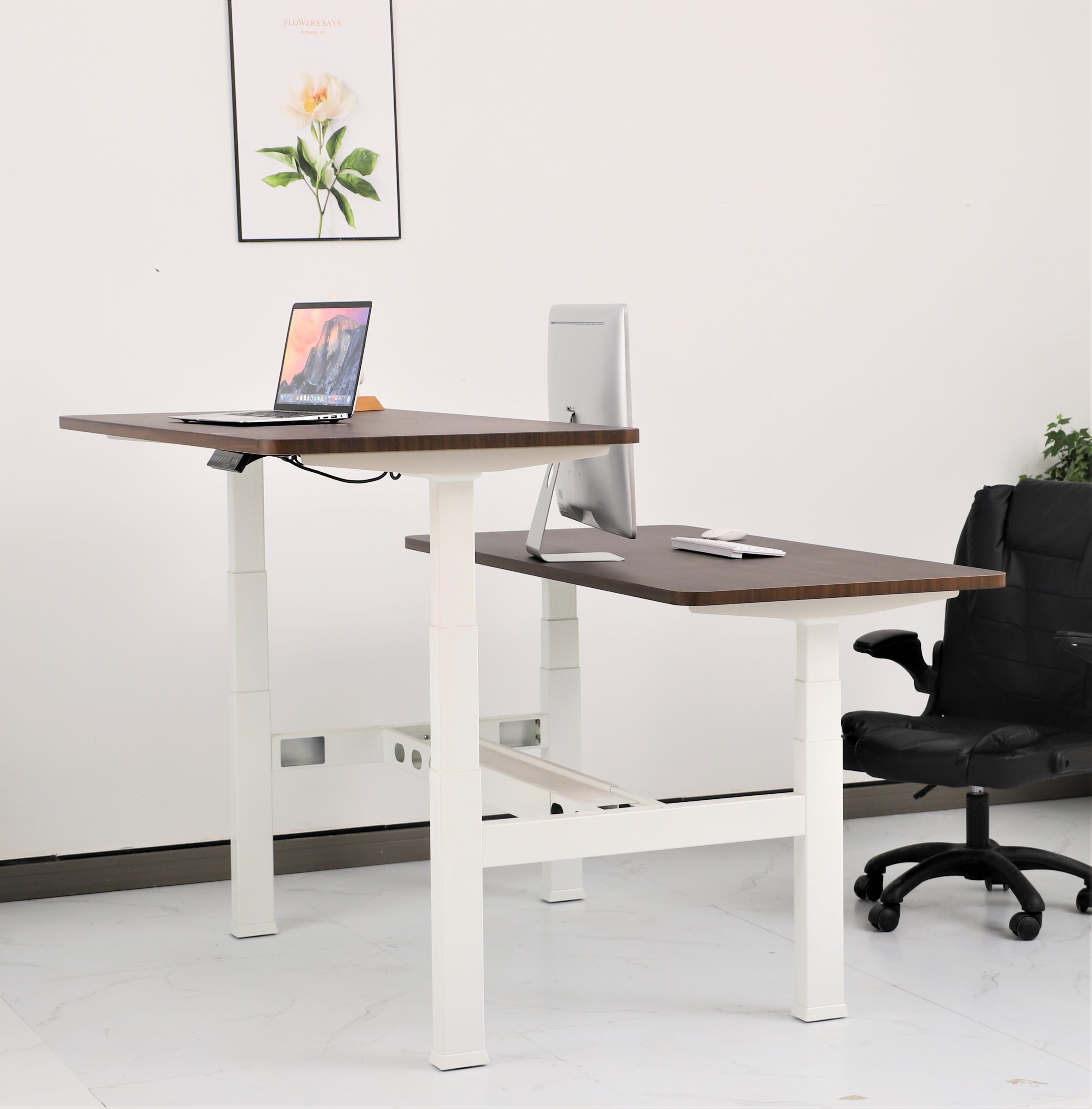Back to Back Electric Standing Desk Workstation - Image 4