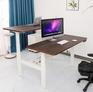 Back to Back Electric Standing Desk Workstation
