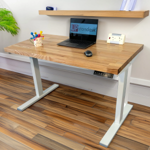 Elegant Ash Wood Top Electric Standing Desk