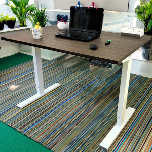 Walnut-Dual Motor-Standing Desk