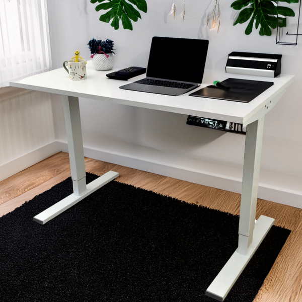 White-Dual Motor-Standing Desk