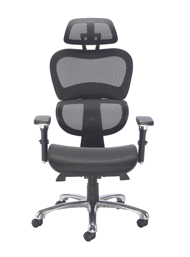 Chachi- Split Back Mesh Posture Chair - Image 2