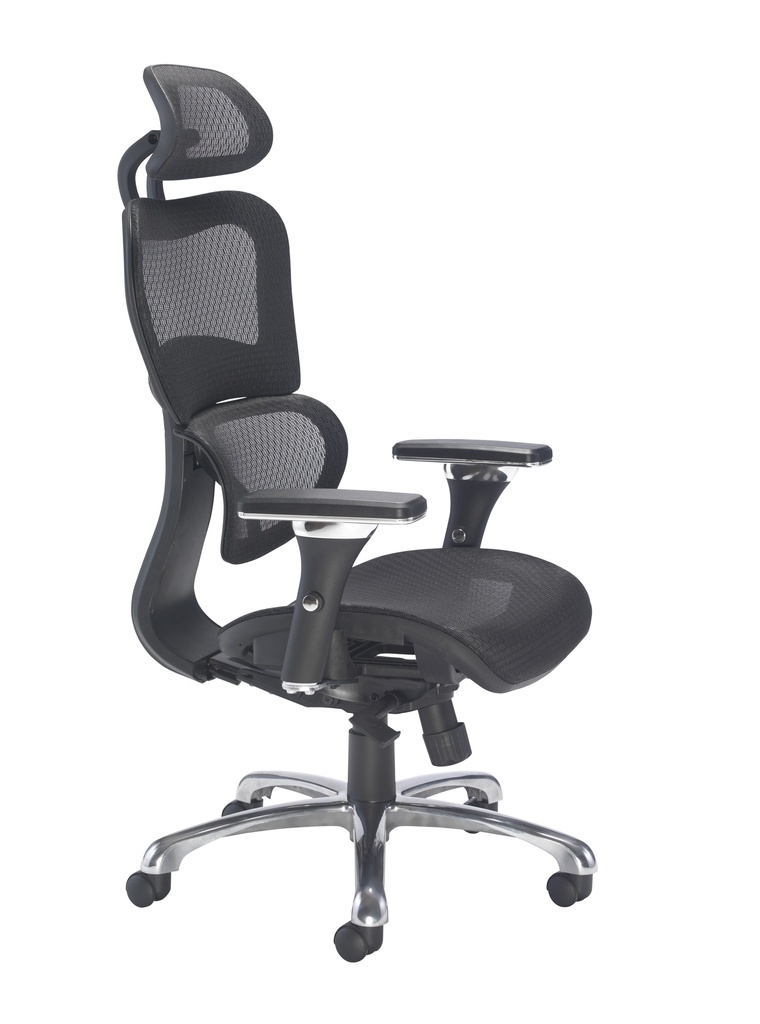 Chachi- Split Back Mesh Posture Chair - Image 3