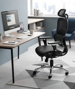 Chachi- Split Back Mesh Posture Chair